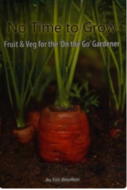 The Shortcut Book Cover