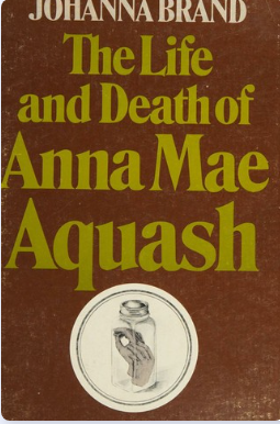 The Shortcut Book Cover